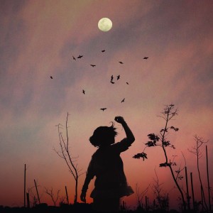 林云汀的个人空间