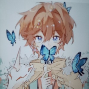 晓梦迷蝶wing的个人空间