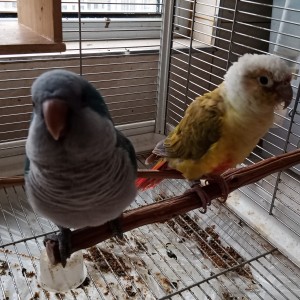 翠米米&沫沫籽的個人空間