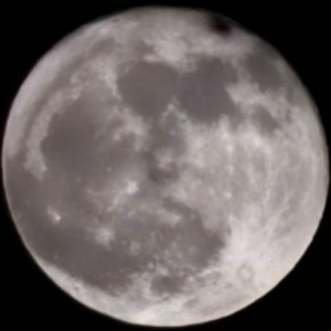 皞跃(习惯性互关)的个人空间