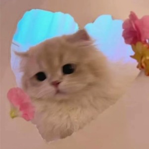 喵喵喵的钢琴谱