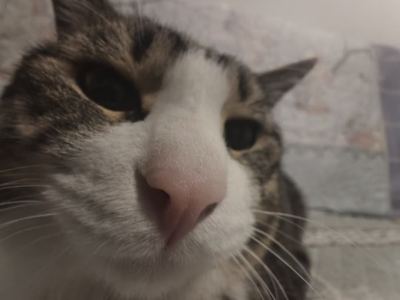 134****0397的钢琴谱