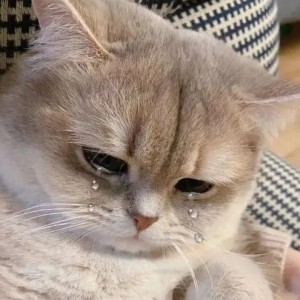 137****3895的钢琴谱