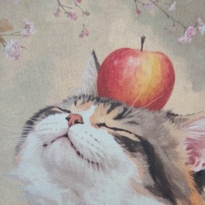 土拨鼠的钢琴谱
