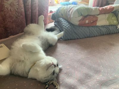深透的钢琴谱