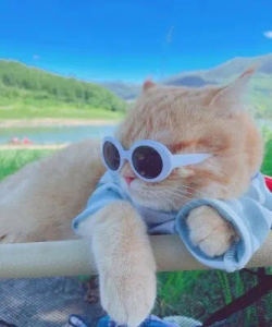 piano 钢琴家🎹的个人空间