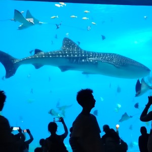 颜只想睡觉的个人空间