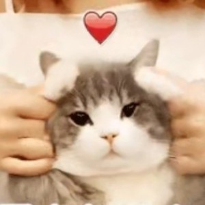 138****9088的钢琴谱