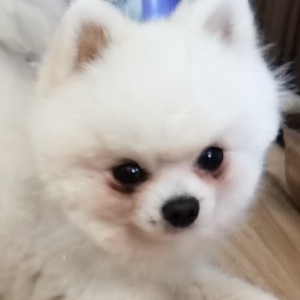 139****8641的钢琴谱