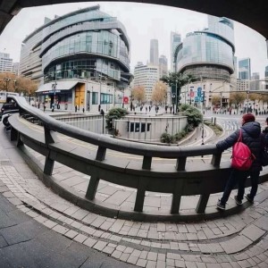 炽金玫瑰的个人空间