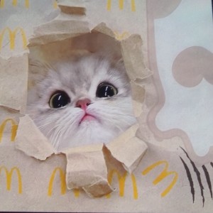 柠汐´･ᴗ･`的钢琴谱