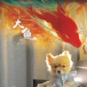 123号门的个人空间