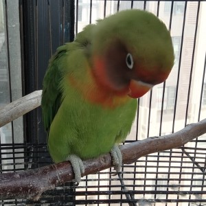 冉冉??的个人空间