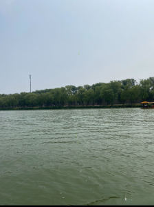 钢琴🎹的钢琴谱