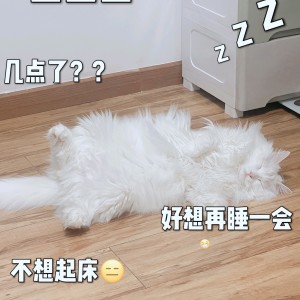 向往飞翔的个人空间