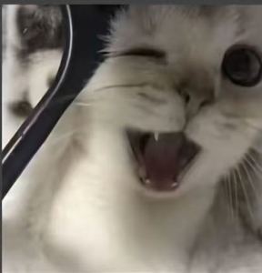 讨厌下雨?️的个人空间