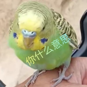 STQ的个人空间