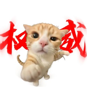 权威的个人空间