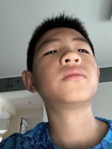 Cornfield Chase的演奏视频