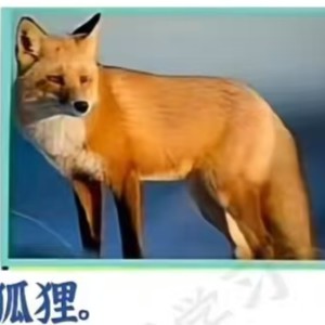182****1643的钢琴谱