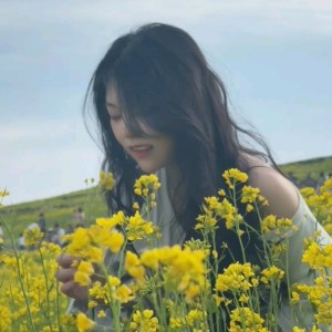 小苫茗的钢琴谱