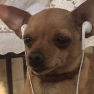 RX天气预报的钢琴谱