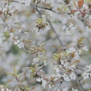 135****6734的个人空间