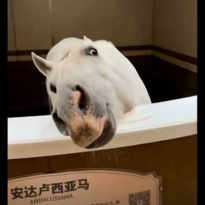 鸢尾串串.的钢琴谱