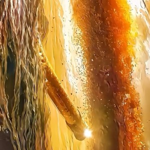 爱国爱党气运高涨的个人空间