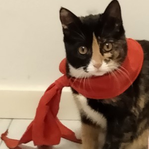 爱阿甘(玩使命,看火影。)的个人空间