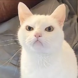 悔疚 ^的个人空间