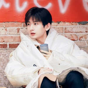 忆莲果的钢琴谱