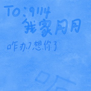 人类爱上A l的个人空间