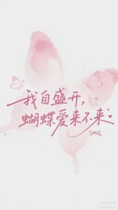 徐伊人的个人空间