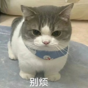 咪咪的钢琴谱