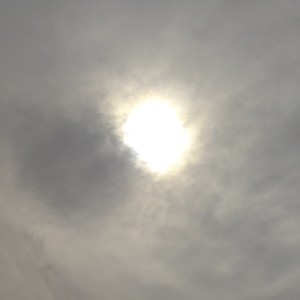钢琴的吸引力的钢琴谱