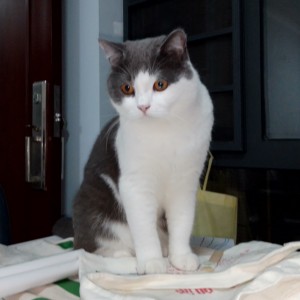 133****9033的个人空间