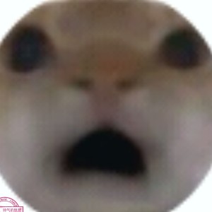 183****9923画离弦的个人空间