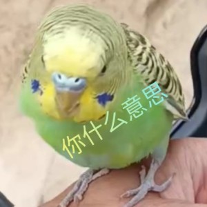 STQ的个人空间