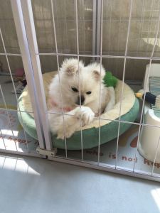 头像有点太搞笑了的个人空间