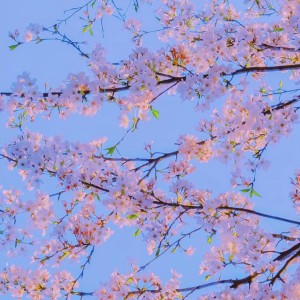 158****5664的个人空间