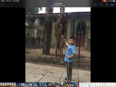 魏棕涵的个人空间