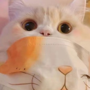 天才函数的钢琴谱