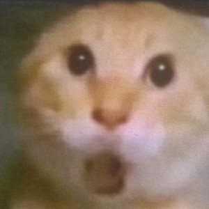 何桑ヾ(=°･°=)ﾉ喵♪的钢琴谱