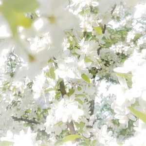 sun 🍟hope🦁🐱的个人空间