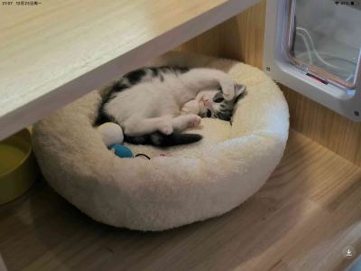 186****8986的钢琴谱