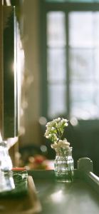 薔薇花開的個人空間