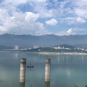 在树🌲下丹东桧柏拉图的钢琴谱