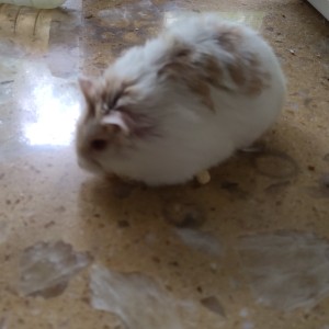 花小花emm的个人空间