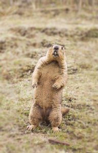 图博书的个人空间